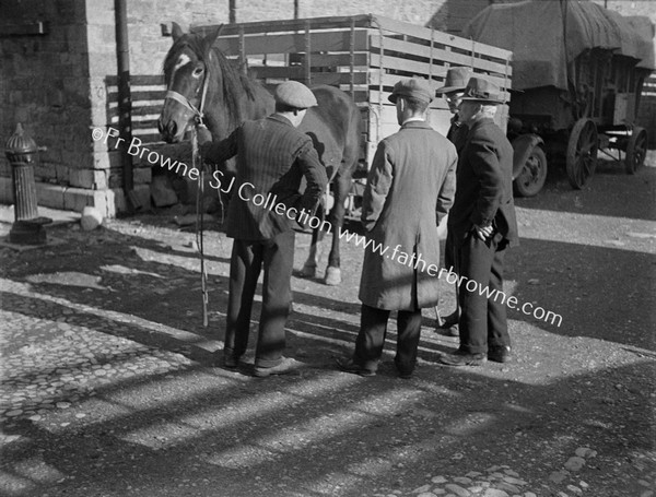 FARMERS  HORSE AND CART